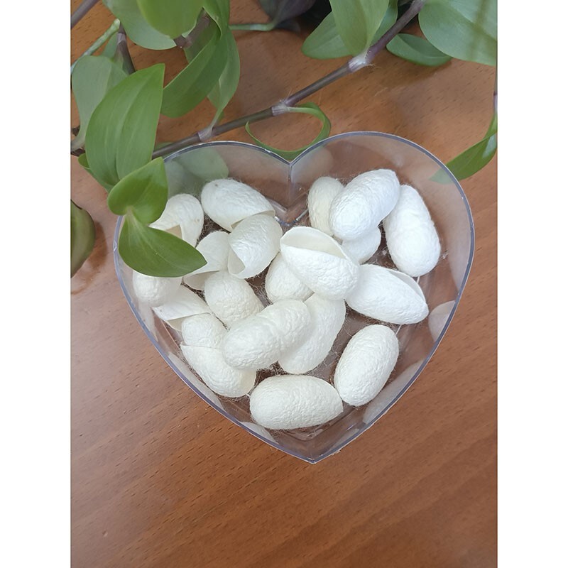 پیله ابریشم برای پوست صورت